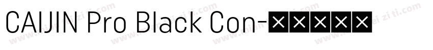 CAIJIN Pro Black Con字体转换